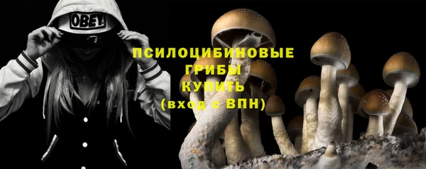 гашик Елизово