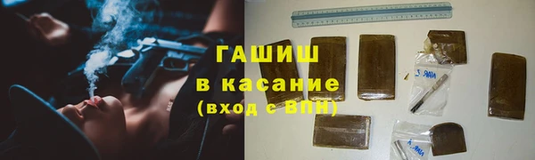 гашик Елизово