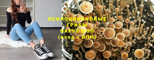 синтетический гашиш Ельня