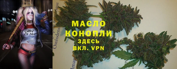mdpv Елабуга