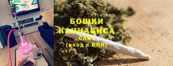 mdpv Елабуга