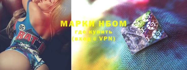 гашик Елизово
