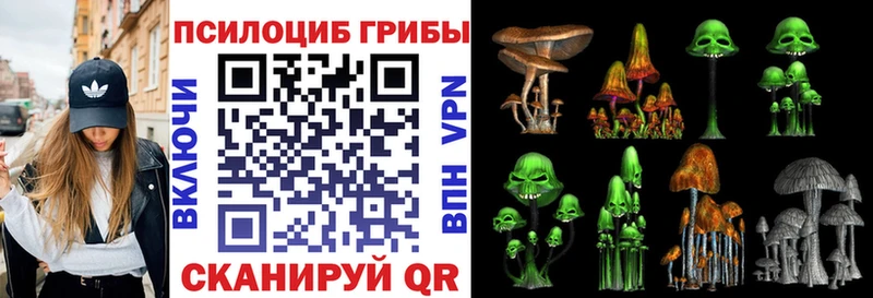 Купить закладки  Козельск  Псилоцибиновые грибы мицелий 